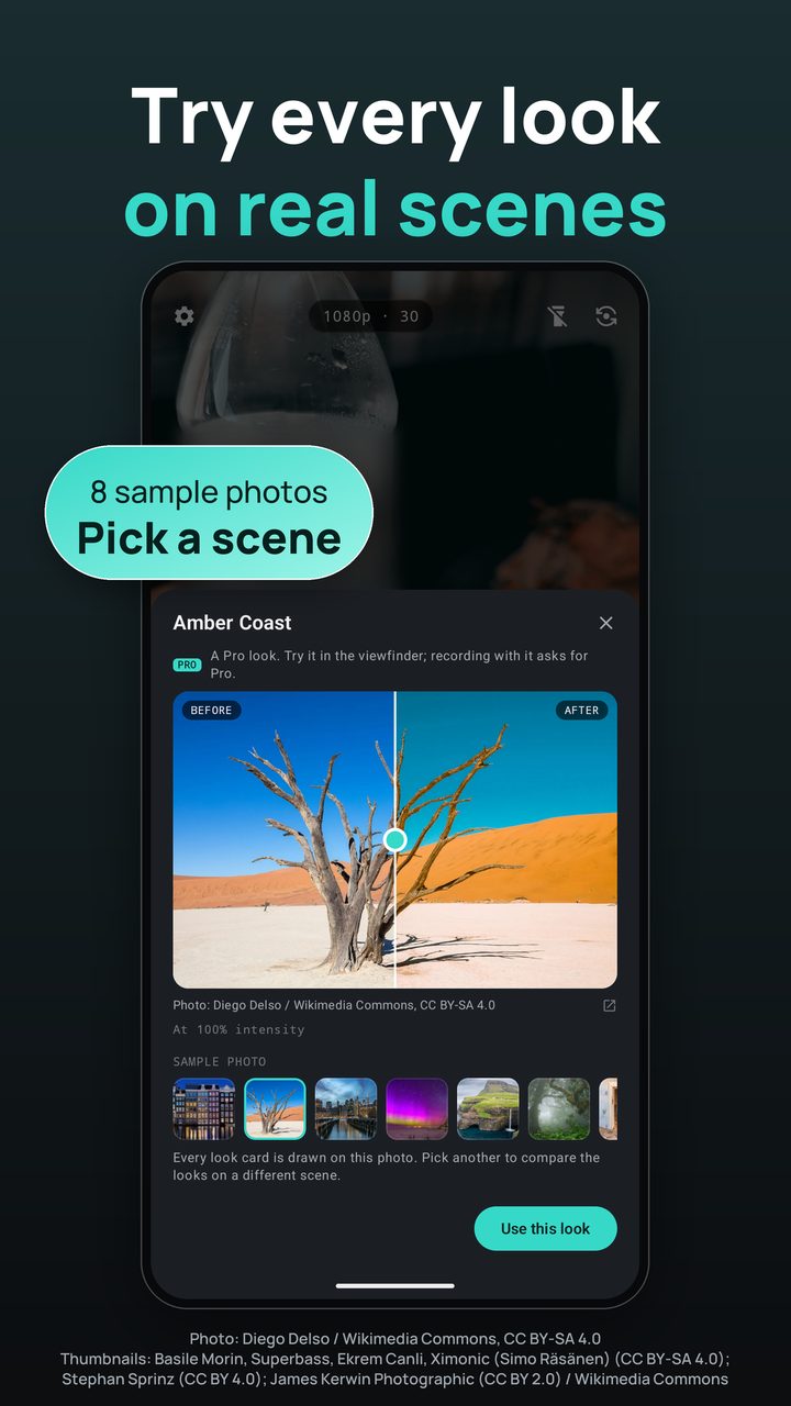 A look previewed on a desert photo, with a row of sample scenes below